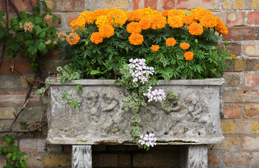 Gardening for Smal Spaces