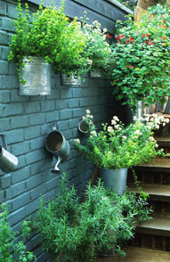 Gardening for Small Spaces