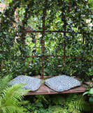 Gardening for Small Spaces